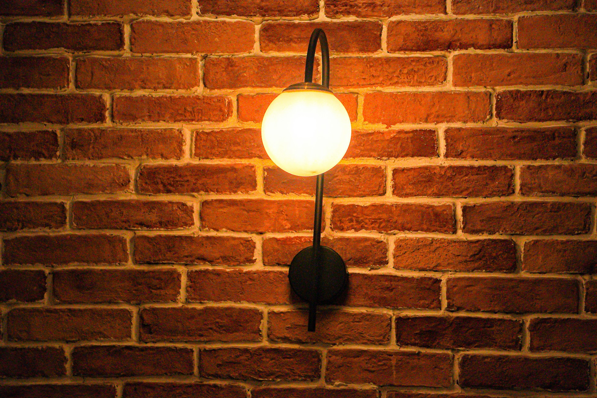 Plant Care Maintenance